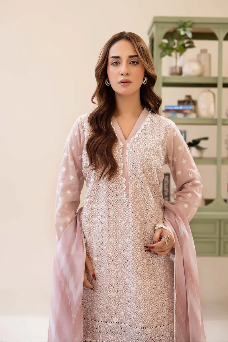 Three-Piece Stitched Embroidered Chickenkari Lawn – AD02D1