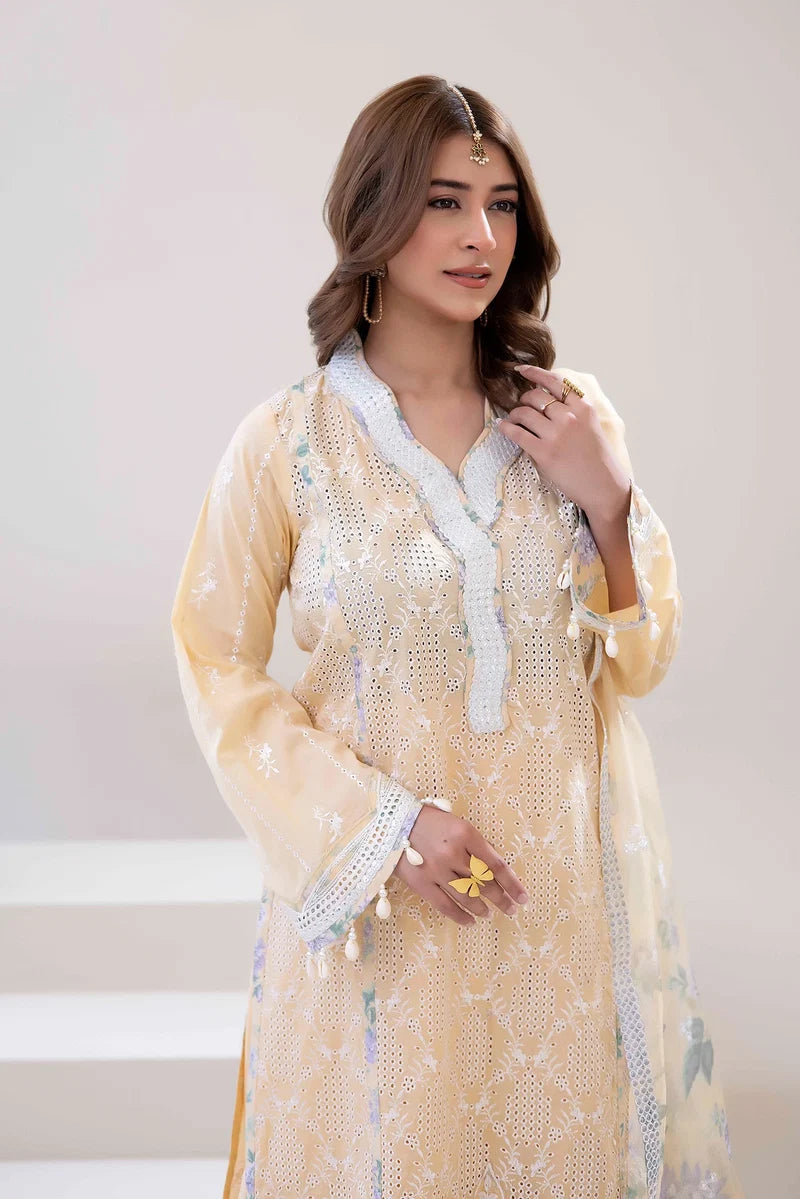 Festive three-piece  Embroidered Lawn Shirt - ADN06