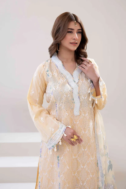Festive three-piece  Embroidered Lawn Shirt - ADN06