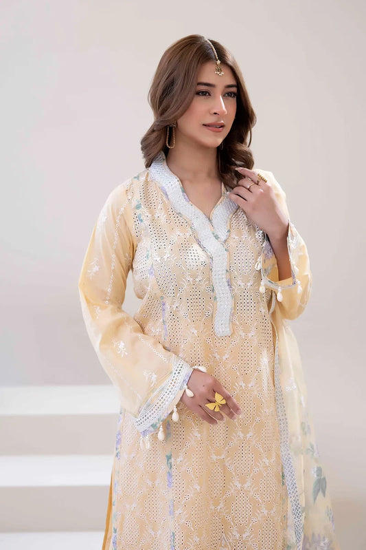 Stitched three-piece  Embroidered Lawn Shirt - ADN06