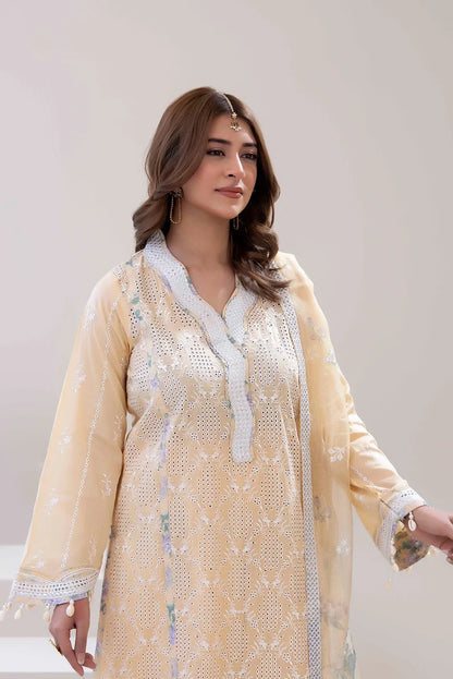 Festive three-piece  Embroidered Lawn Shirt - ADN06